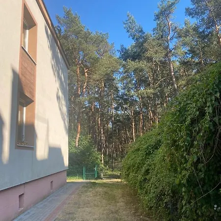 Jurata, Ratibora, Przy Lesie *